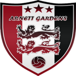 team-logo